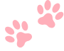 paw